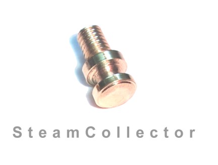 SEL Water Level Plug