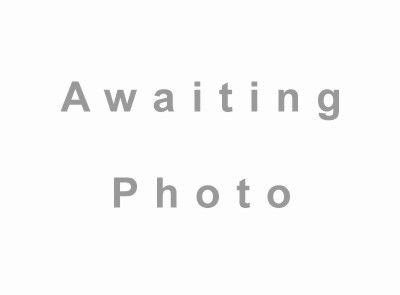 Safety Valve Spring - Mamod Standard